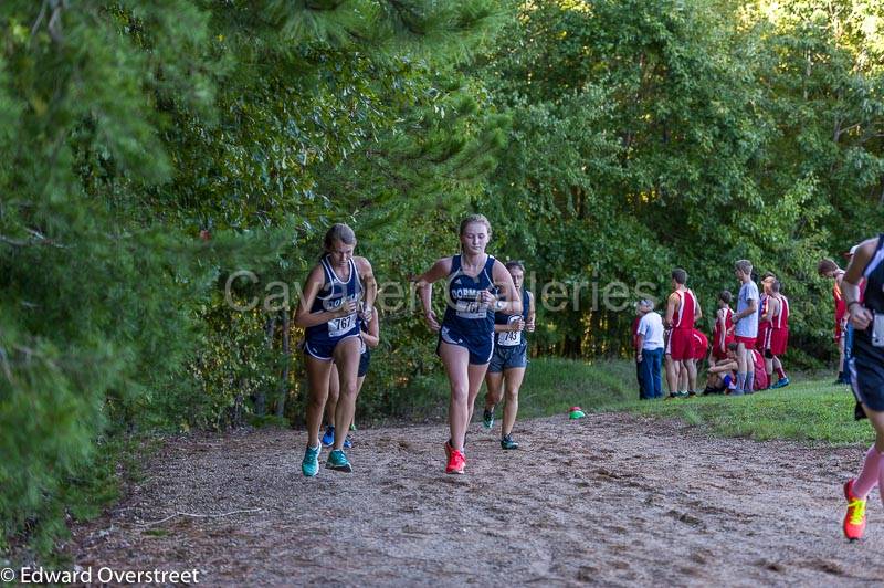 XC Girls  (115 of 384).jpg